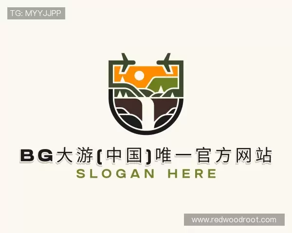 认识BG大游唯一官方网站